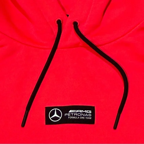 Mercedes-AMG Petronas Lewis Hamilton 2022 Italian GP Hoodie in Neon Pink - Large - Picture 4 of 13